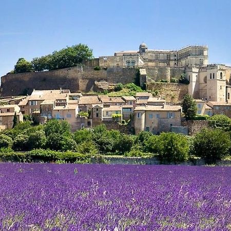 Maison De Ville Châteauneuf-du-Rhône Exterior foto